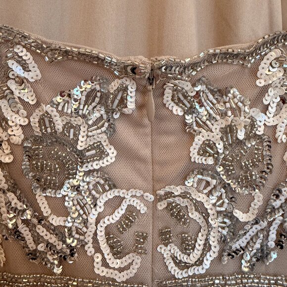 Adrianna Papell Beaded Cocktail Dress – Size 6 – Nude & Silver - Picture 6 of 9
